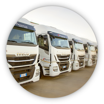 Esempi di Mezzi Iveco per il Trasporto Intermodale Mossucca Mezzi Iveco per il Trasporto Intermodale Mossucca